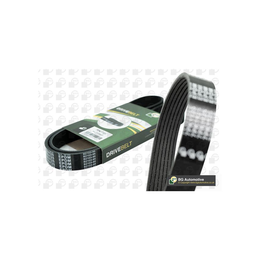 PASEK WIELOROWKOWY BGA 7PK1125