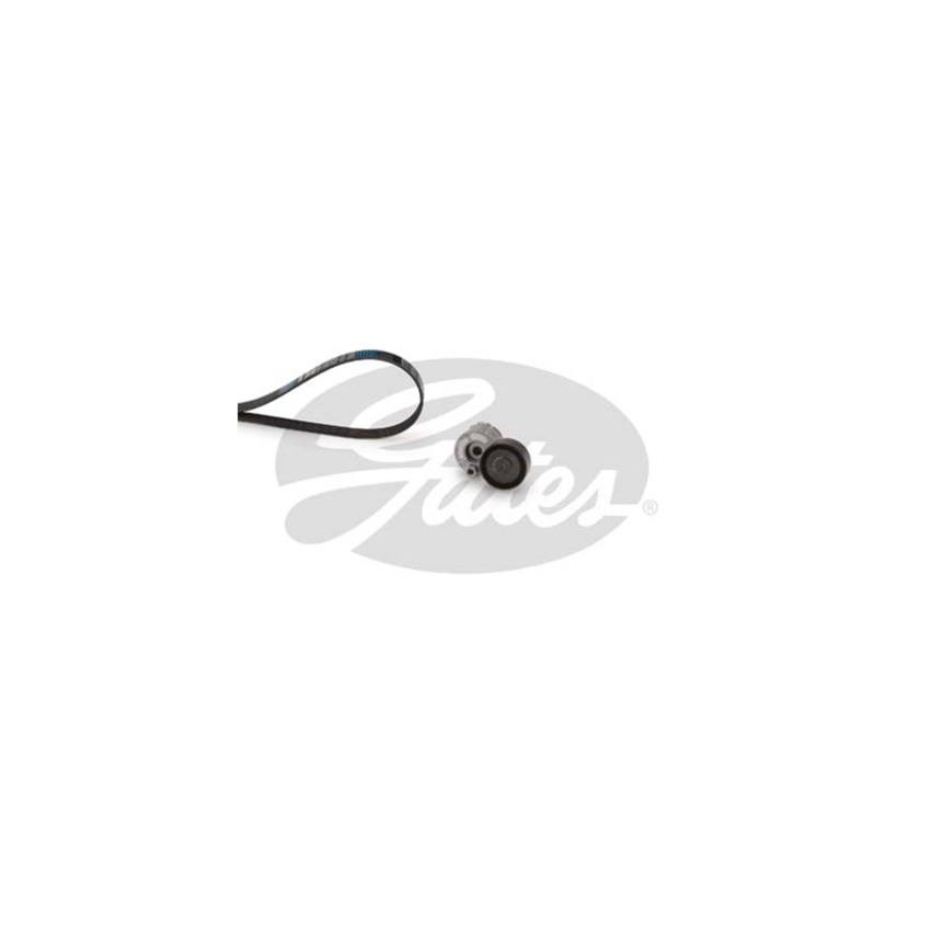 KOMPLET PASKA WIELOROWKOWEGO GATES K016PK1198 RENAULT 1.5-1.6DCI 01-18