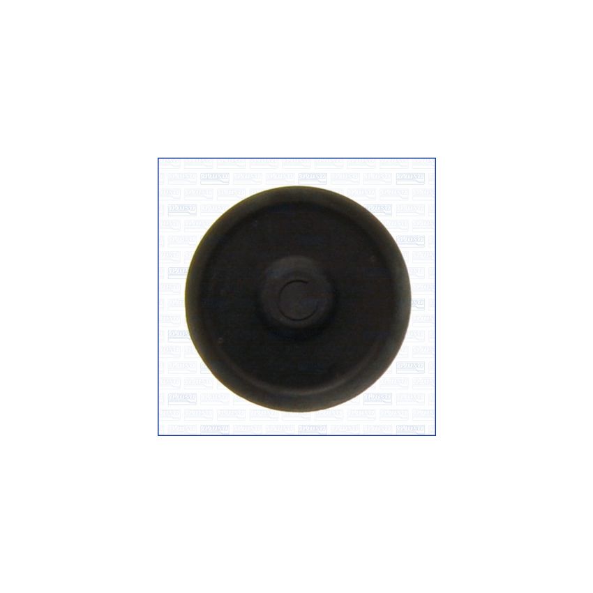 ZAŚLEPKA WAŁKA ROZRZĄDU AJUSA 01053500 ROVER 2.5TD 98-16
