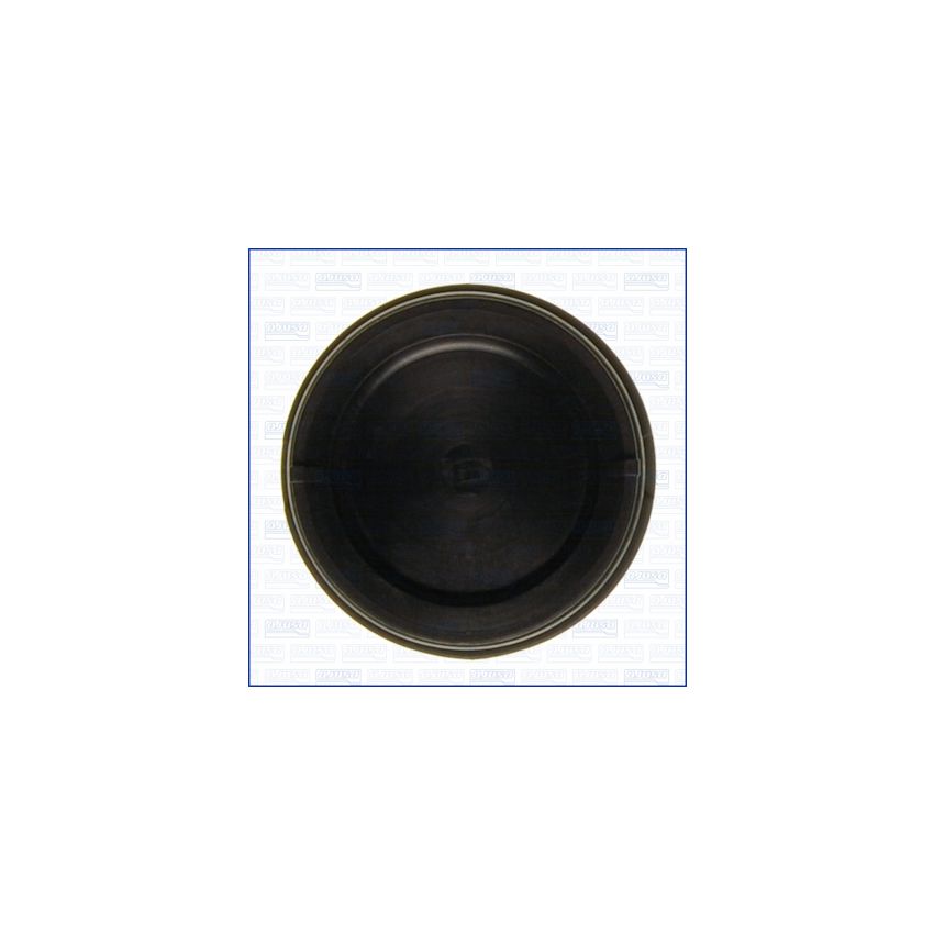 ZAŚLEPKA WAŁKA ROZRZĄDU AJUSA 01053600 ROVER 2.5TD 98-16