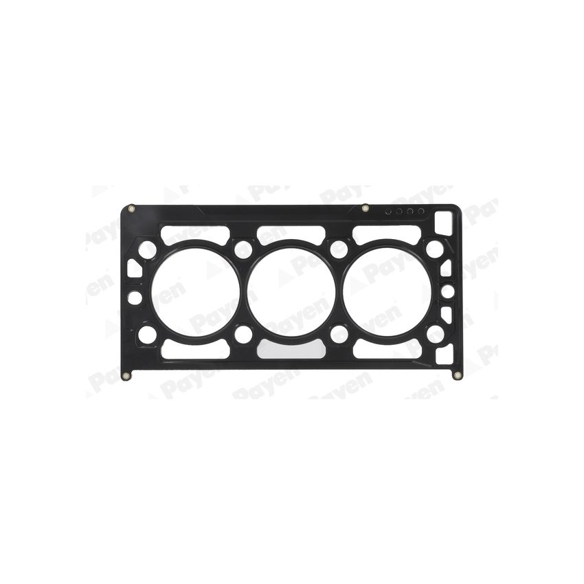 USZCZELKA GŁOWICY PAYEN AA5920 ROVER 2.5 98-