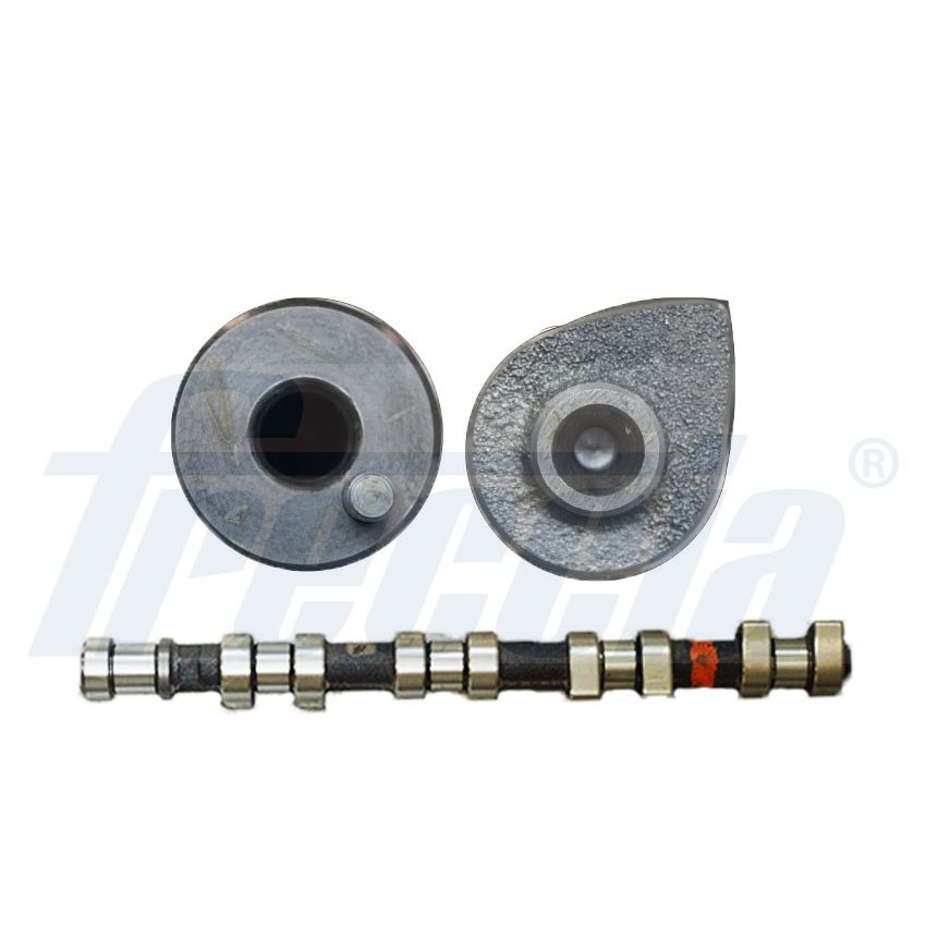 WAŁEK ROZRZĄDU FRECCIA CM05-2173 OPEL 1.8-2.4 98-