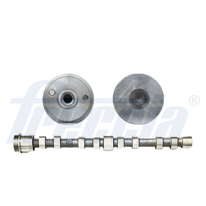 WAŁEK ROZRZĄDU FRECCIA CM05-2273 FIAT 3.0JTD 06-