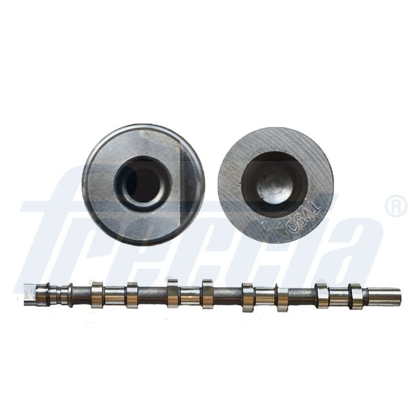 WAŁEK ROZRZĄDU FRECCIA CM05-2165 RENAULT 2.2-2.5DCI 00-