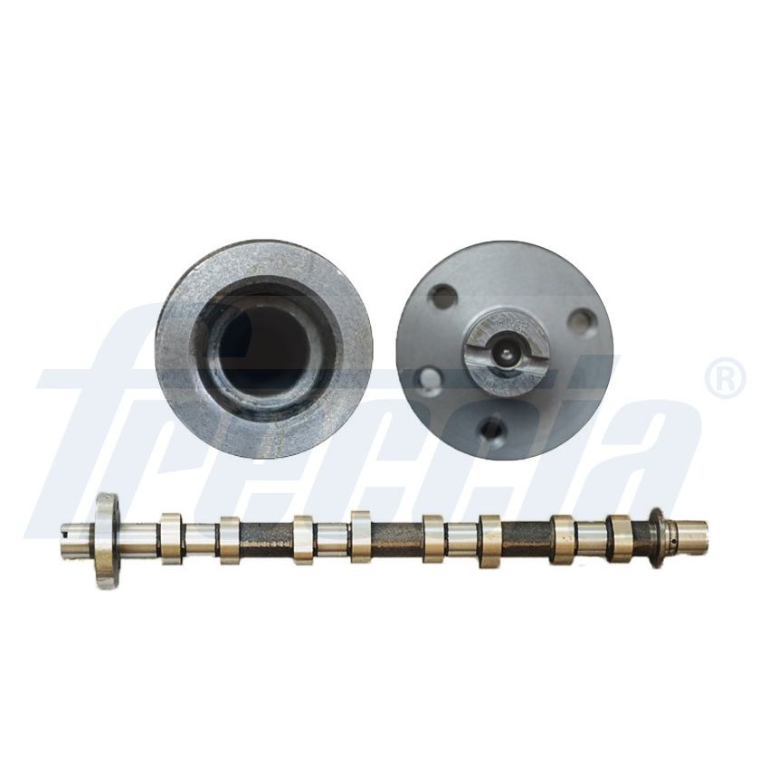 WAŁEK ROZRZĄDU FRECCIA CM05-2194 RENAULT 2.0-2.3DCI 05-