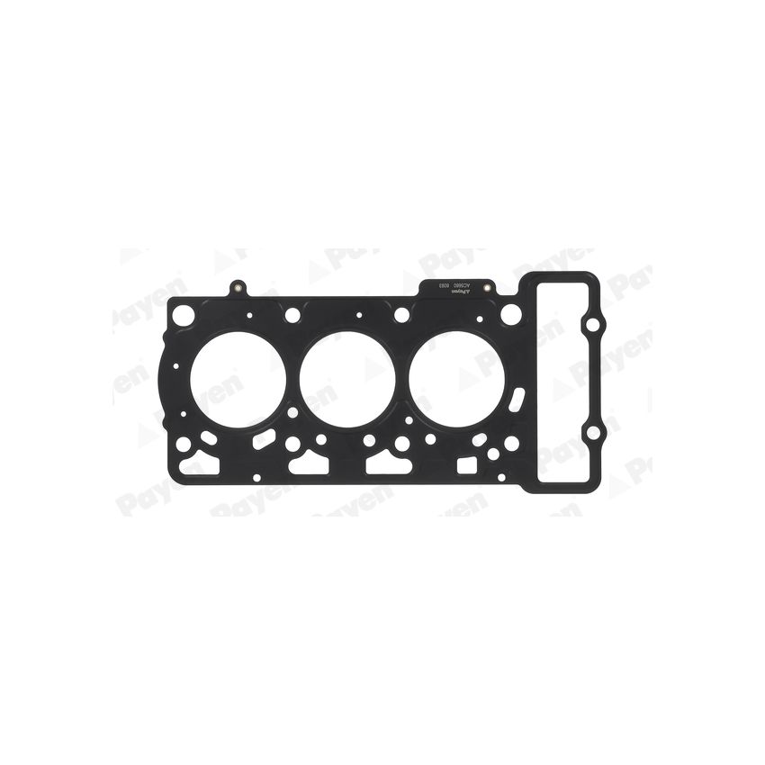 USZCZELKA GŁOWICY PAYEN AC5660 SMART 0.6-0.7 98-