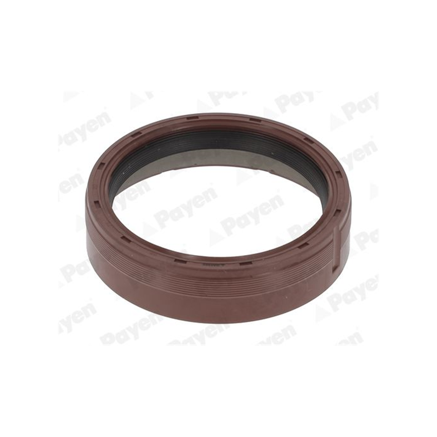 USZCZELNIACZ WAŁU PRZÓD SIMMERRING PAYEN NA5505 BMW 1.6-3.0 03-