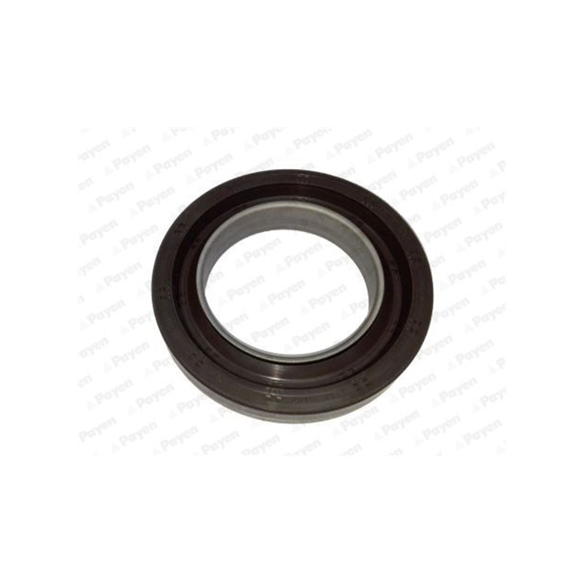 USZCZELNIACZ WAŁU PRZÓD SIMMERRING PAYEN NA5202 FORD T 2.3 01-