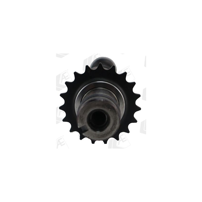 WAŁEK ROZRZĄDU AE CAM1031 PSA 2.0HDI 15-