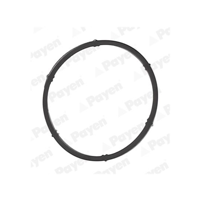 USZCZELKA KOLEKTORA SSĄCEGO PAYEN JD6171 VW 1.6 96-
