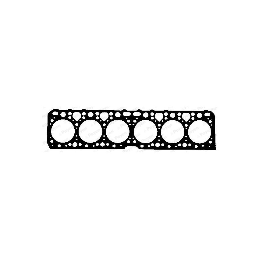 USZCZELKA GŁOWICY PAYEN BG070 MAN D2146 -