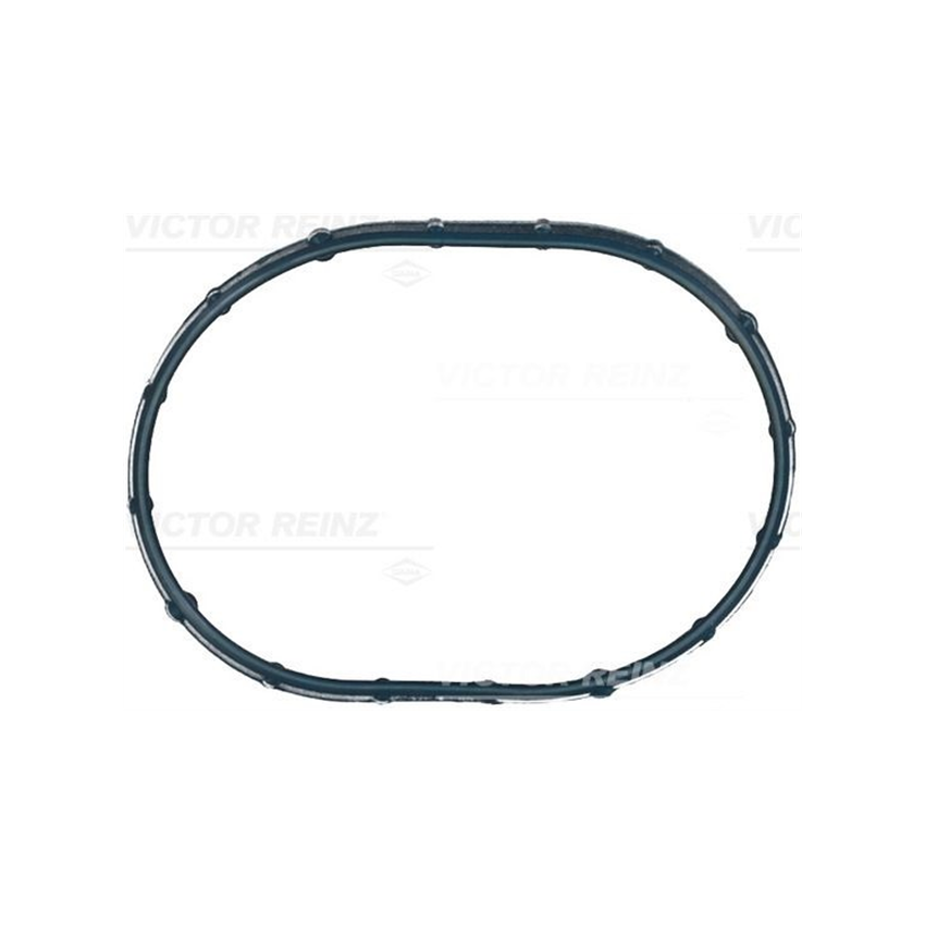 USZCZELKA KOLEKTORA SSĄCEGO VICTOR REINZ 71-21056-00 ROVER 4.0 04-09