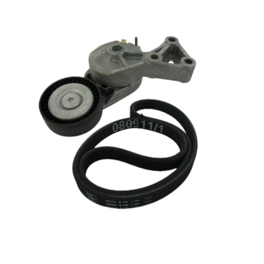 KOMPLET PASKA WIELOROWKOWEGO SKF VKMA31001 VW 1.9TDI 95-15