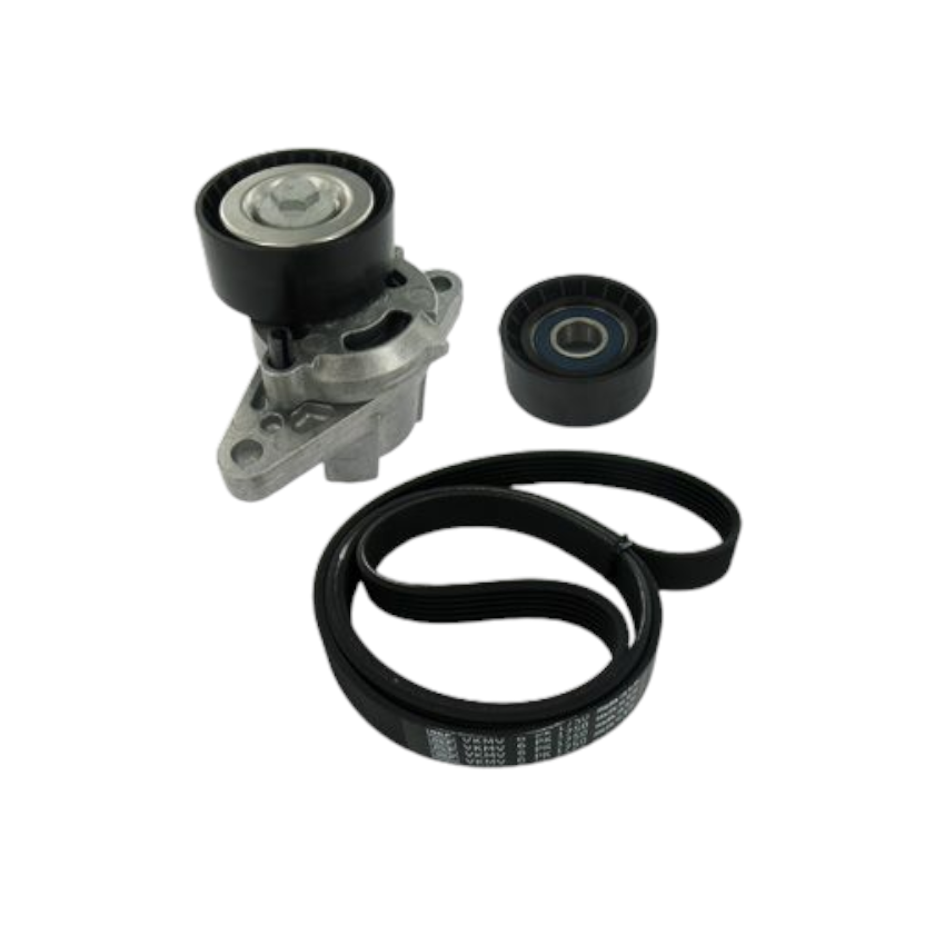 KOMPLET PASKA WIELOROWKOWEGO SKF VKMA36209 RENAULT 1.4-1.6 97-12