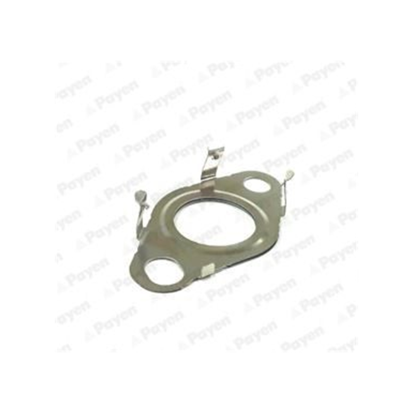 USZCZELKA EGR PAYEN KK5745 VW 1.6-2.0TDI 05-