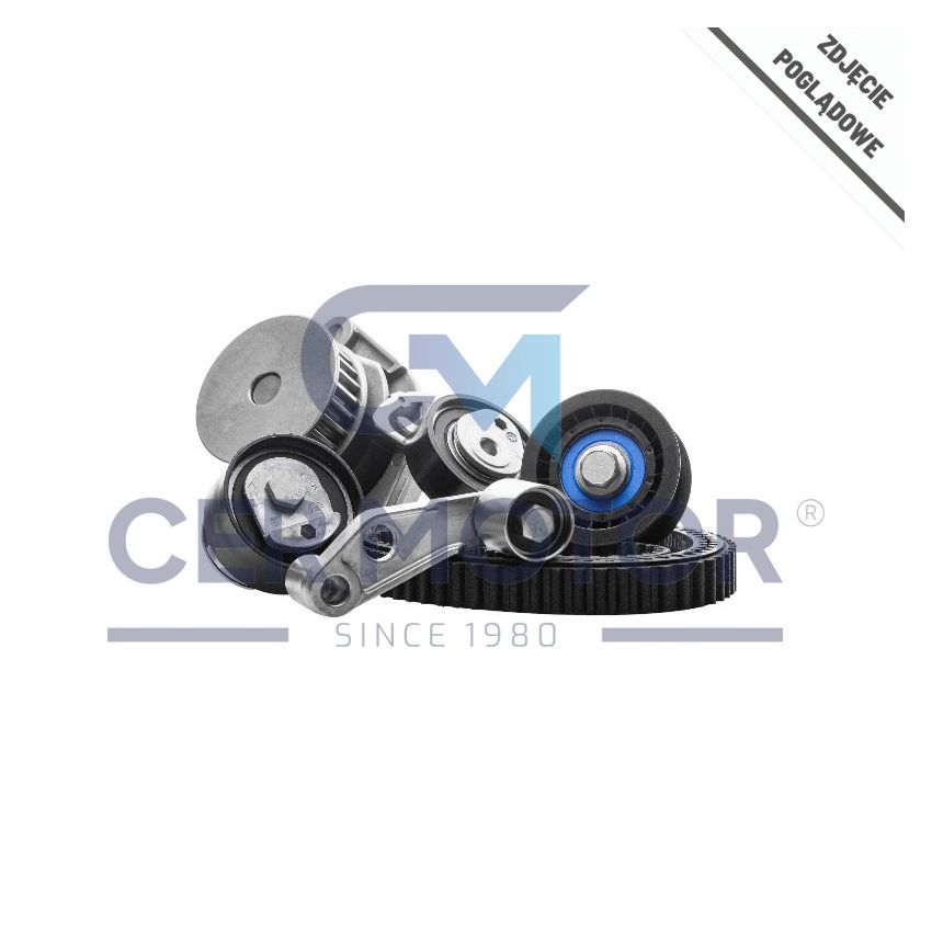 KOMPLET ZAWORÓW WYDECHOWYCH SUPERTECH VWEVI1002S8 VW RACING 2.0