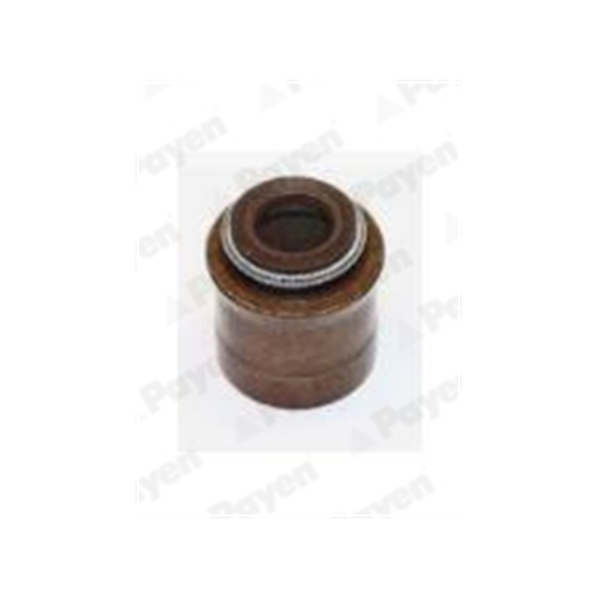 USZCZELNIACZ ZAWOROWY PAYEN PA387 DH 1.0 83-99