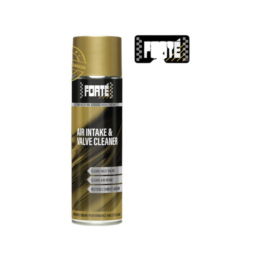 AIR INTAKE & VALVE CLEANER FORTE J09410 0.5L
