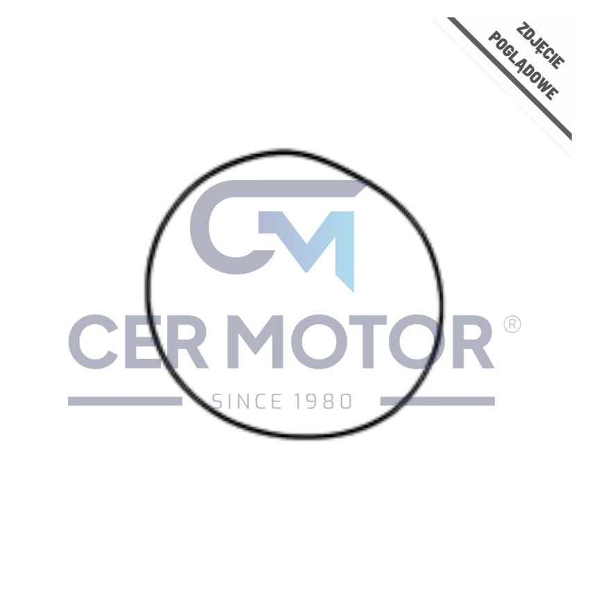 USZCZELKA TULEI OE OR99448190 IVECO F3AE0681 02