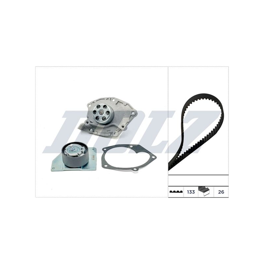 KOMPLET ROZRZĄDU DOLZ KD247 RENAULT 1.9DCi 08-