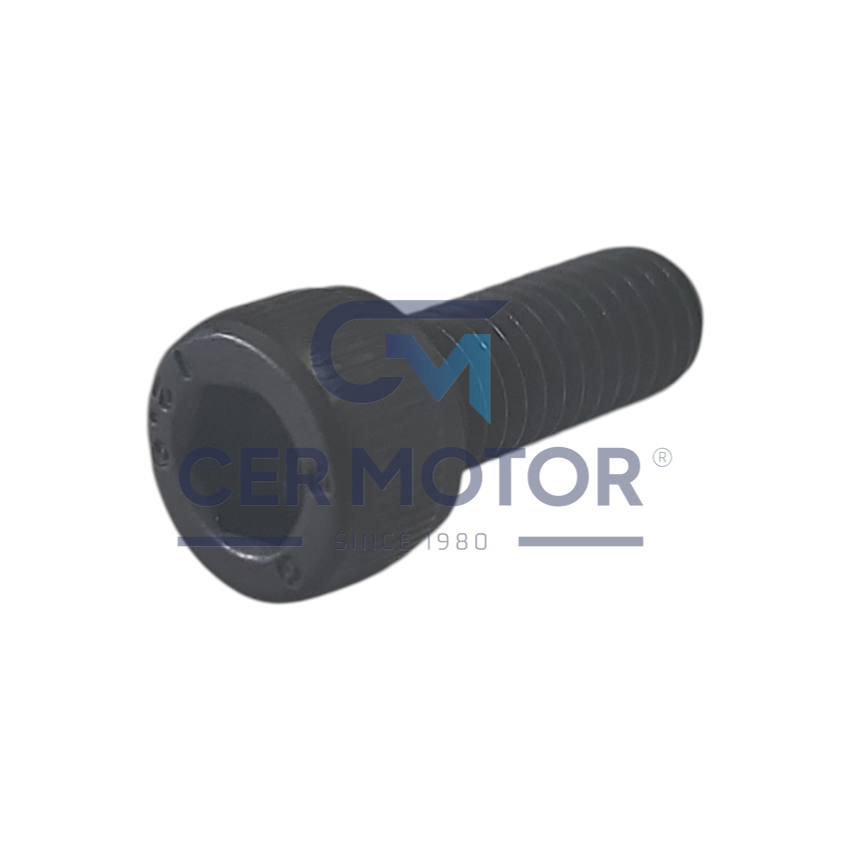 ŚRUBA TURBOSPRĘŻARKI JRONE T11641 GT2052V/K14/K16/K24/K27