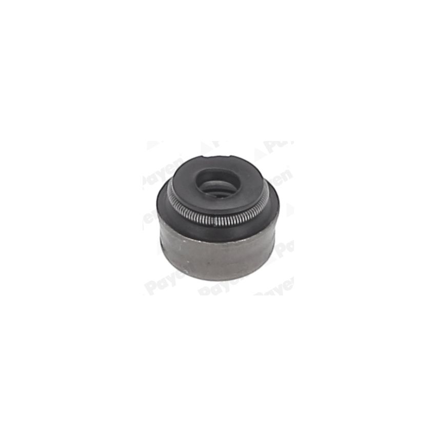 USZCZELNIACZ ZAWOROWY PAYEN PA5025 OPEL 1.0-4.4 97-