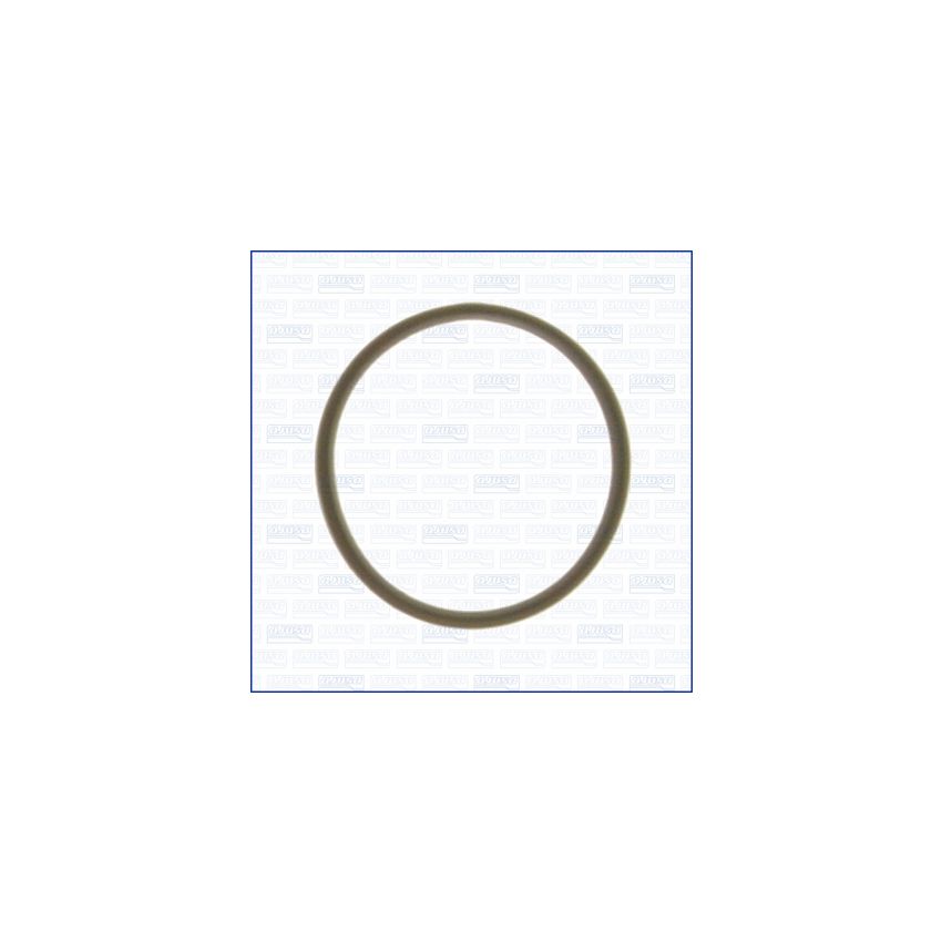 USZCZELKA KOLEKTORA SSĄCEGO AJUSA 13213400 PSA 1.6 TU5JP 94-