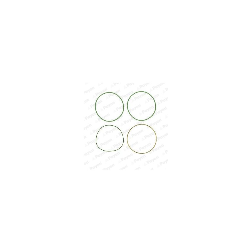 USZCZELKA TULEI PAYEN HT018 MERCEDES OM401 88-