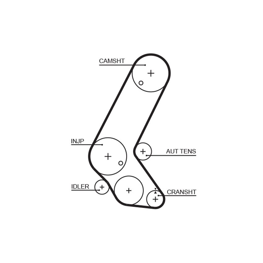 PASEK ROZRZĄDU GATES 5595XS OPEL 1.7D 01-