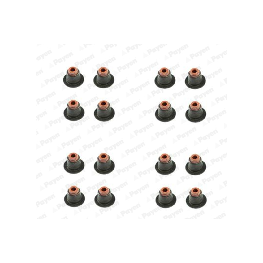 KOMPLET USZCZELNIACZY ZAWOROWYCH PAYEN HR5086 BMW 1.6-4.8 00