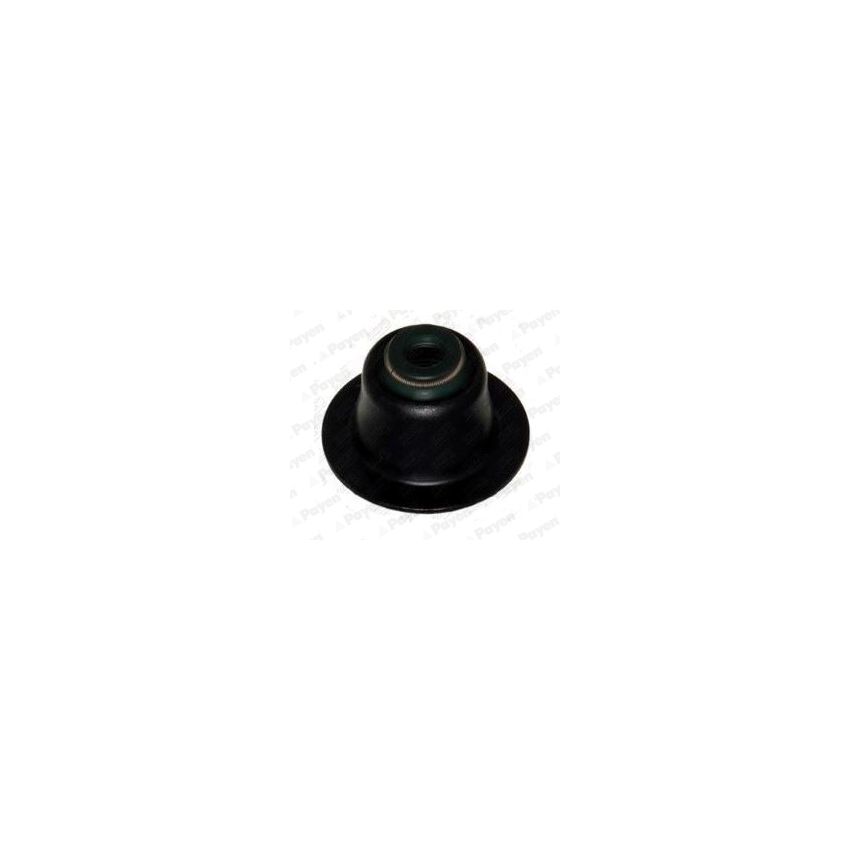 USZCZELNIACZ ZAWOROWY PAYEN NA5164 DAEWOO 16V 1.4-1.6 03-