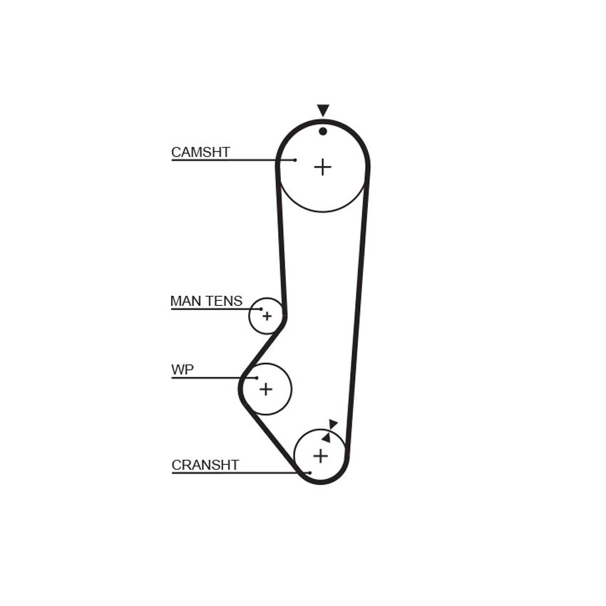 PASEK ROZRZĄDU GATES 5224XS FORD 1.1-1.3 81-