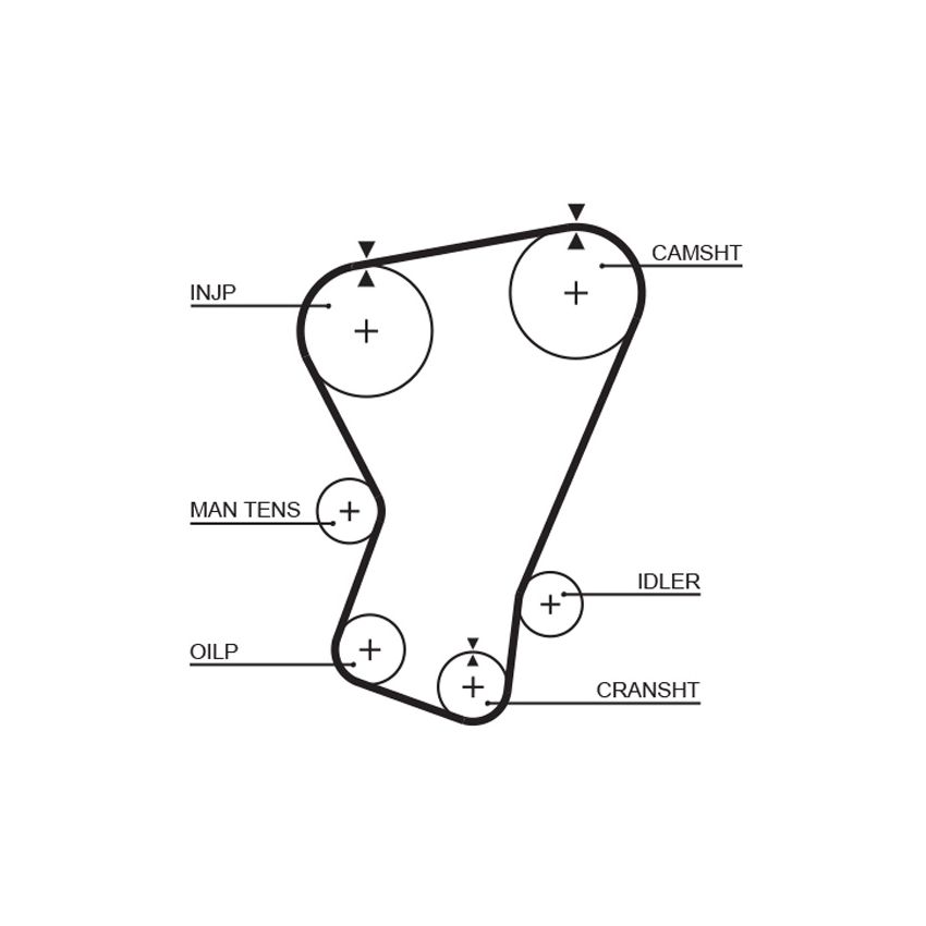 PASEK ROZRZĄDU GATES 5065 FIAT 1.3D 82-