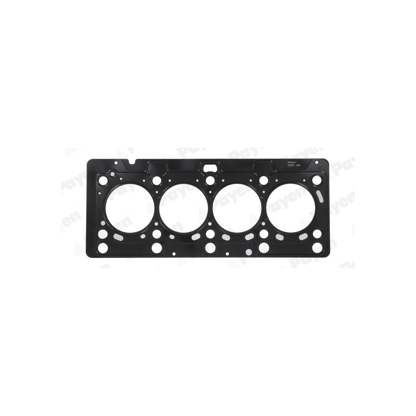 USZCZELKA GŁOWICY PAYEN AE5200 RENAULT 1.5DCI 01-
