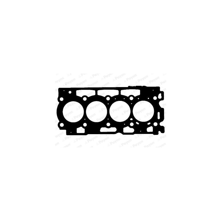 USZCZELKA GŁOWICY PAYEN AD5160 PSA 1.40mm 1.4HDI 01-
