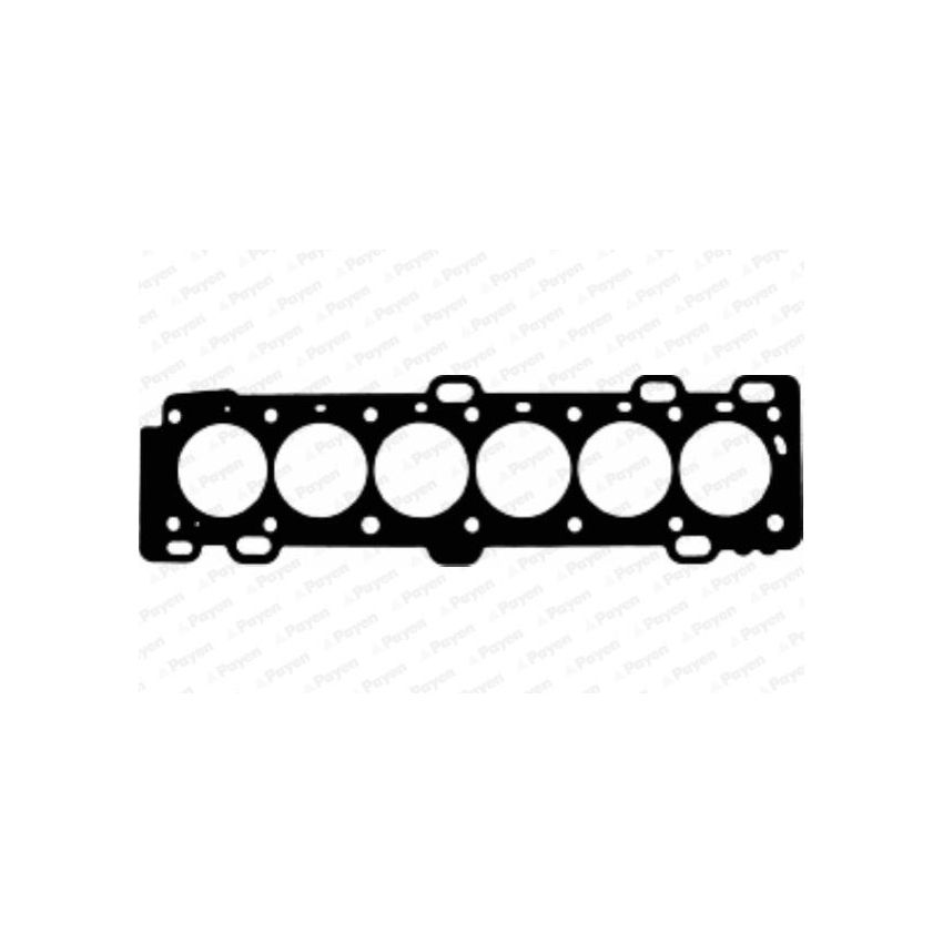 USZCZELKA GŁOWICY PAYEN AE5150 VOLVO 3.0 00-