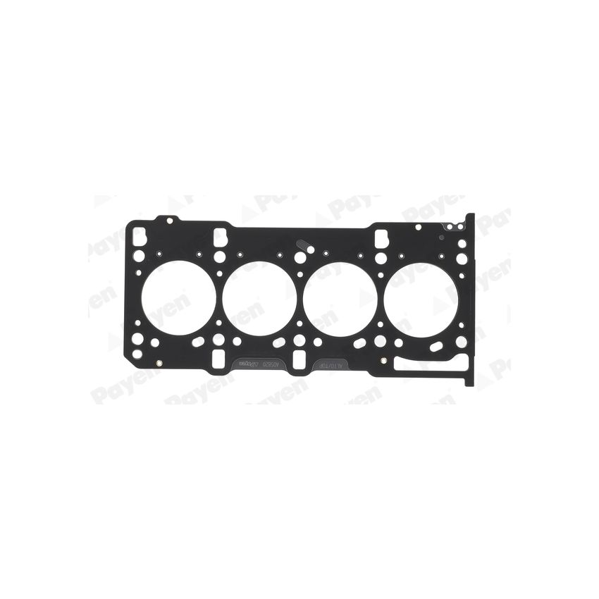 USZCZELKA GŁOWICY PAYEN AD5820 OPEL 16V 1.3CDTI 03-