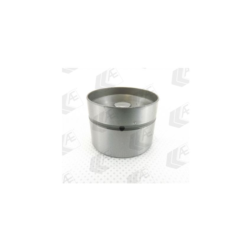 POPYCHACZ ZAWOROWY AE FORD OL131 BMW -4.4 24-32