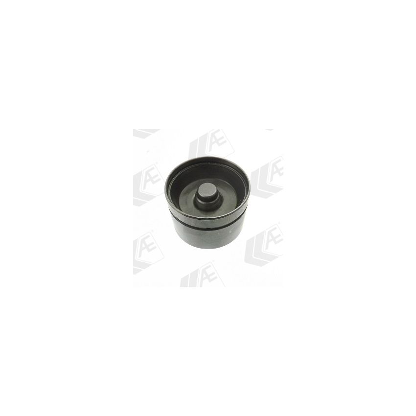 POPYCHACZ ZAWOROWY AE FORD OL147 MERCEDES MB104 24x35