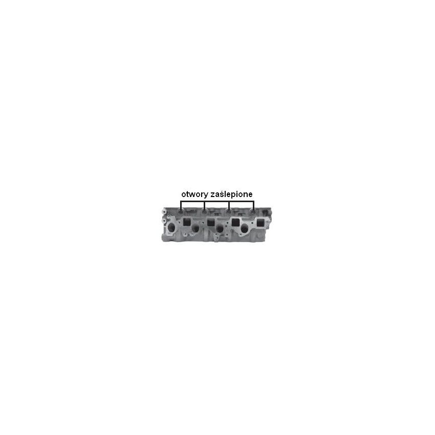 GŁOWICA AMC 908796 NISSAN 3.0DTI ZD3 06-