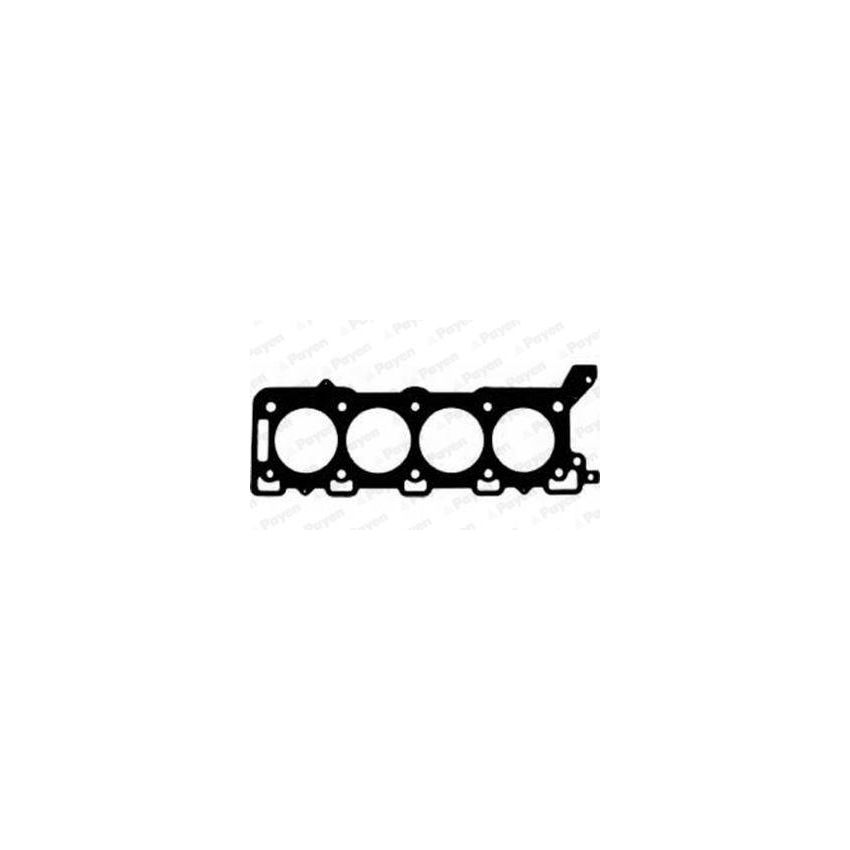 USZCZELKA GŁOWICY PAYEN AC5510 ROVER V8 4.2 09-
