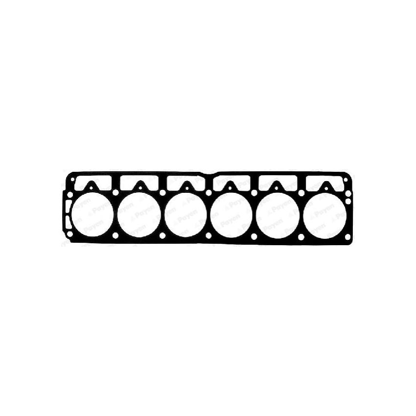 USZCZELKA GŁOWICY PAYEN AC5610 JEEP 4.0 87-95
