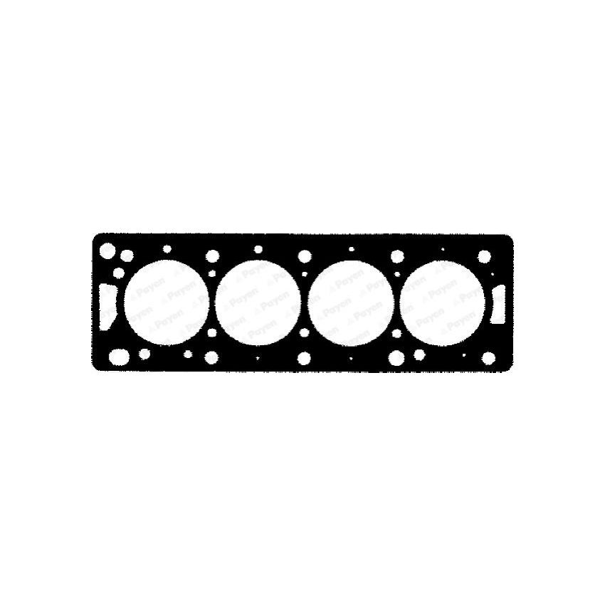 USZCZELKA GŁOWICY PAYEN BP880 ROVER 504-2 86-