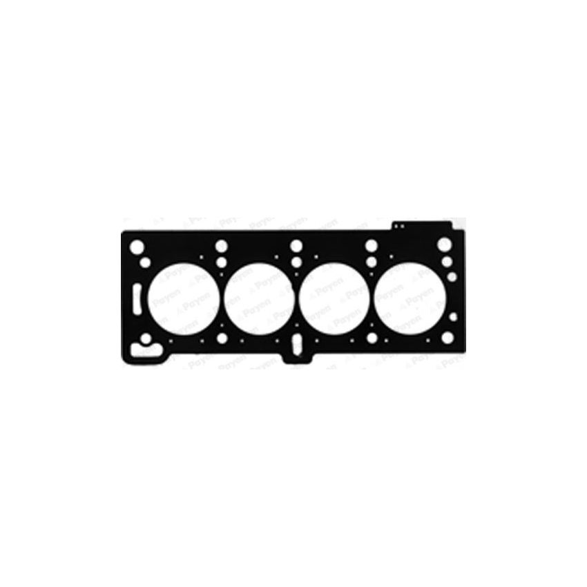 USZCZELKA GŁOWICY PAYEN BY030 RENAULT 1.6 MEGANE K7M 95-