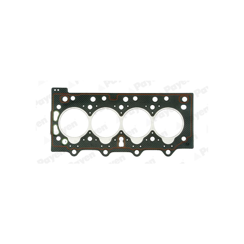USZCZELKA GŁOWICY PAYEN AD5190 RENAULT 2.2TD 12V 96-